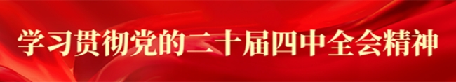 专题4