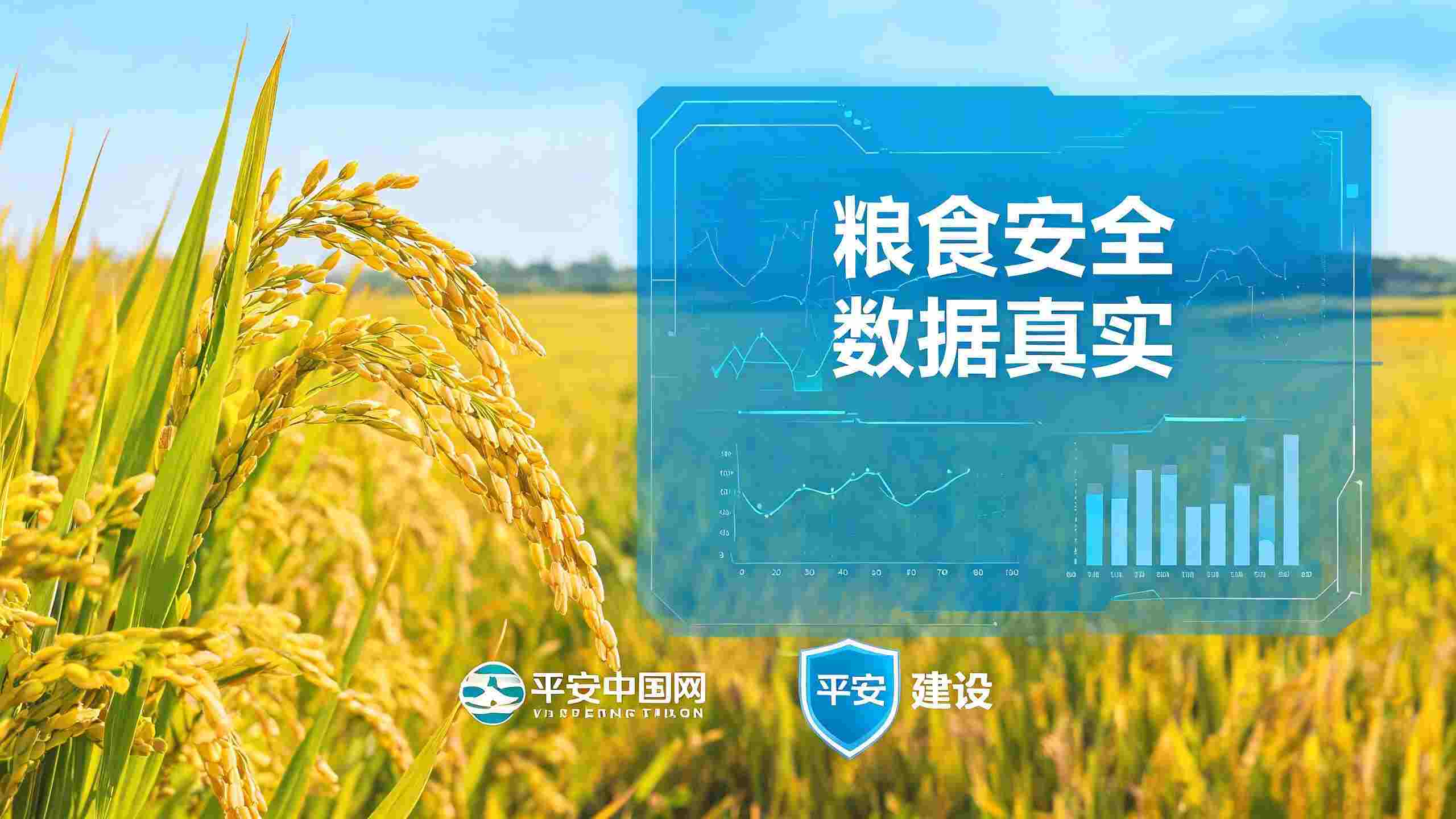 筑牢粮食安全防线 严防“纸上种粮”数据造假